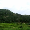 Tampin bouldering area