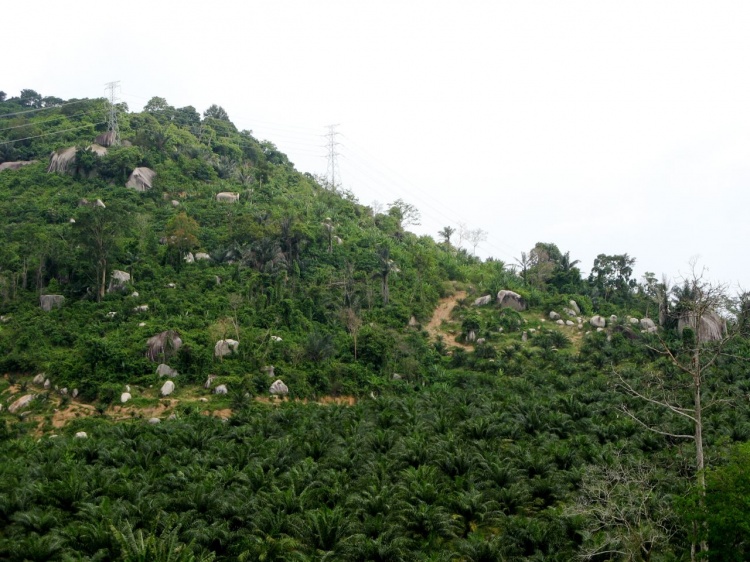 Tampin bouldering area 