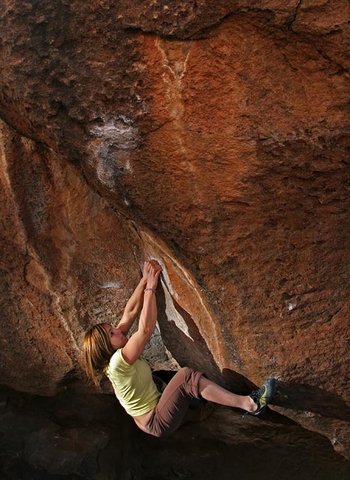 Alex Puccio