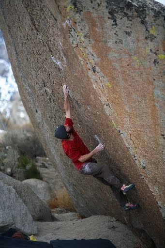 Matt Wilder, The Swarm 8B+