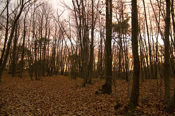 Roches qui dansent, prostředí ala blairwitch