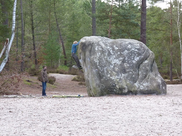 Elephant a La Lepreux Direct 7A