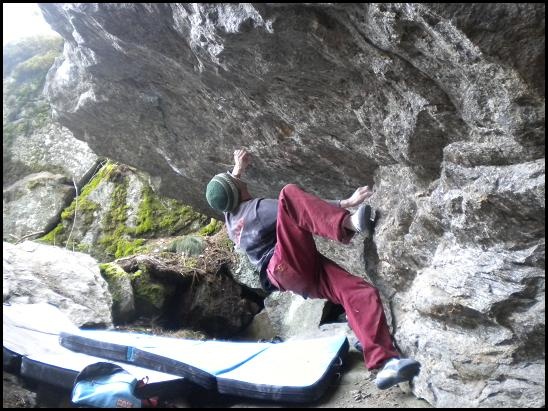 David v 7B/7B+