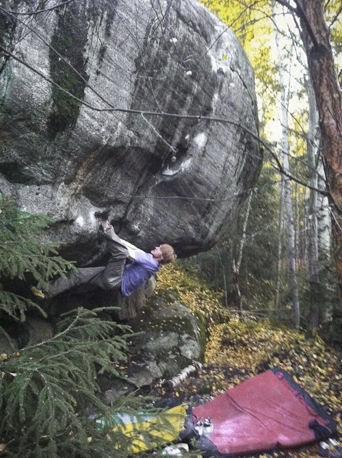 Nalle Elephant 8B+