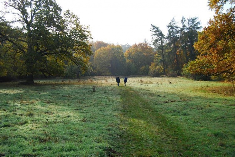 Cesta na Petrohrad